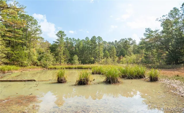 $337,500 | 1981 Ripley Route, Doniphan, MO 63935