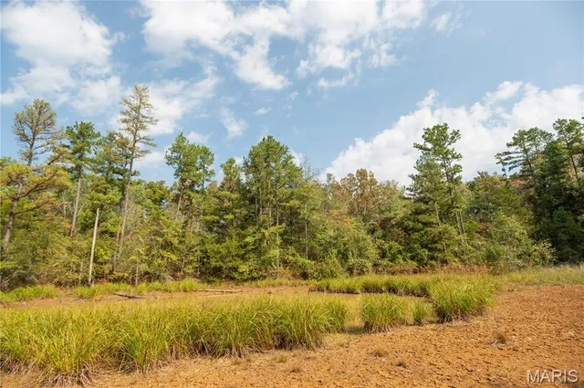 $337,500 | 1981 Ripley Route, Doniphan, MO 63935