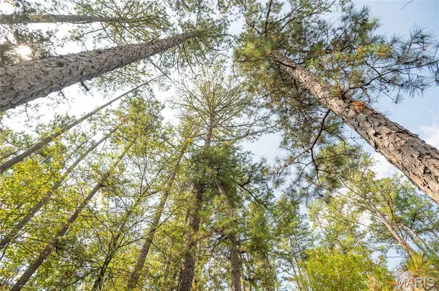 $337,500 | 1981 Ripley Route, Doniphan, MO 63935