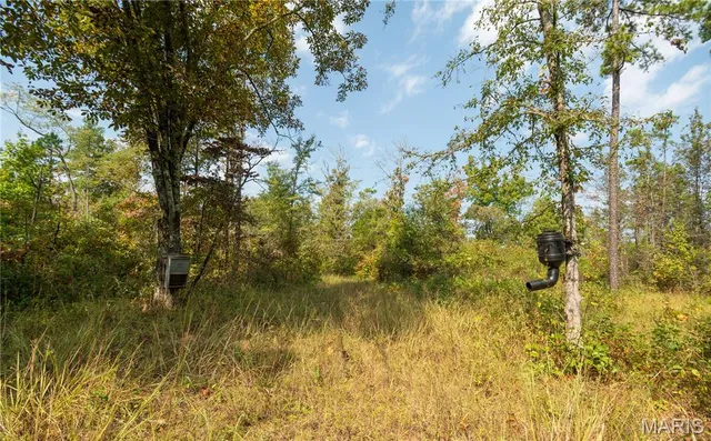 $337,500 | 1981 Ripley Route, Doniphan, MO 63935