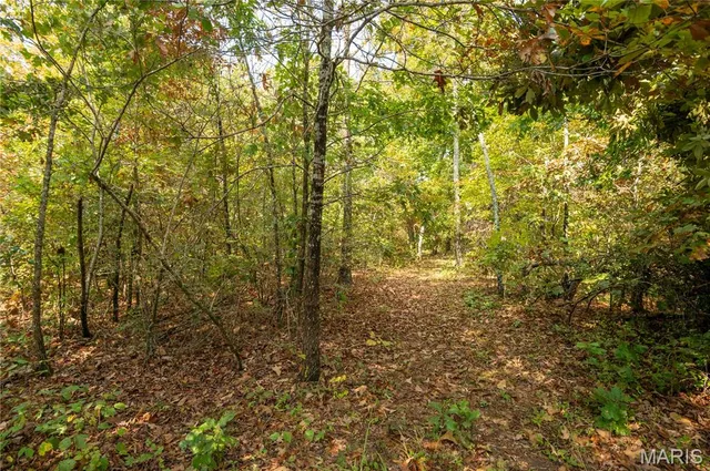 $337,500 | 1981 Ripley Route, Doniphan, MO 63935