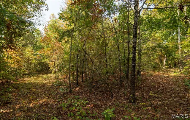 $337,500 | 1981 Ripley Route, Doniphan, MO 63935