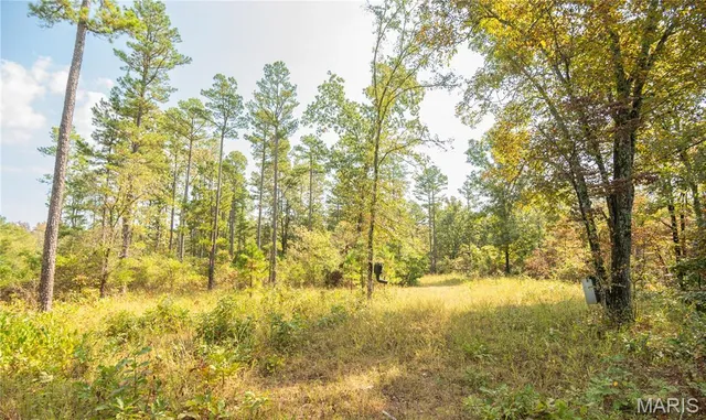 $337,500 | 1981 Ripley Route, Doniphan, MO 63935