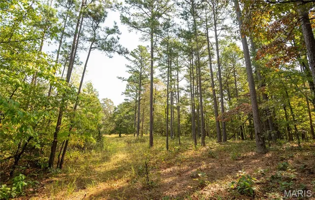 $337,500 | 1981 Ripley Route, Doniphan, MO 63935