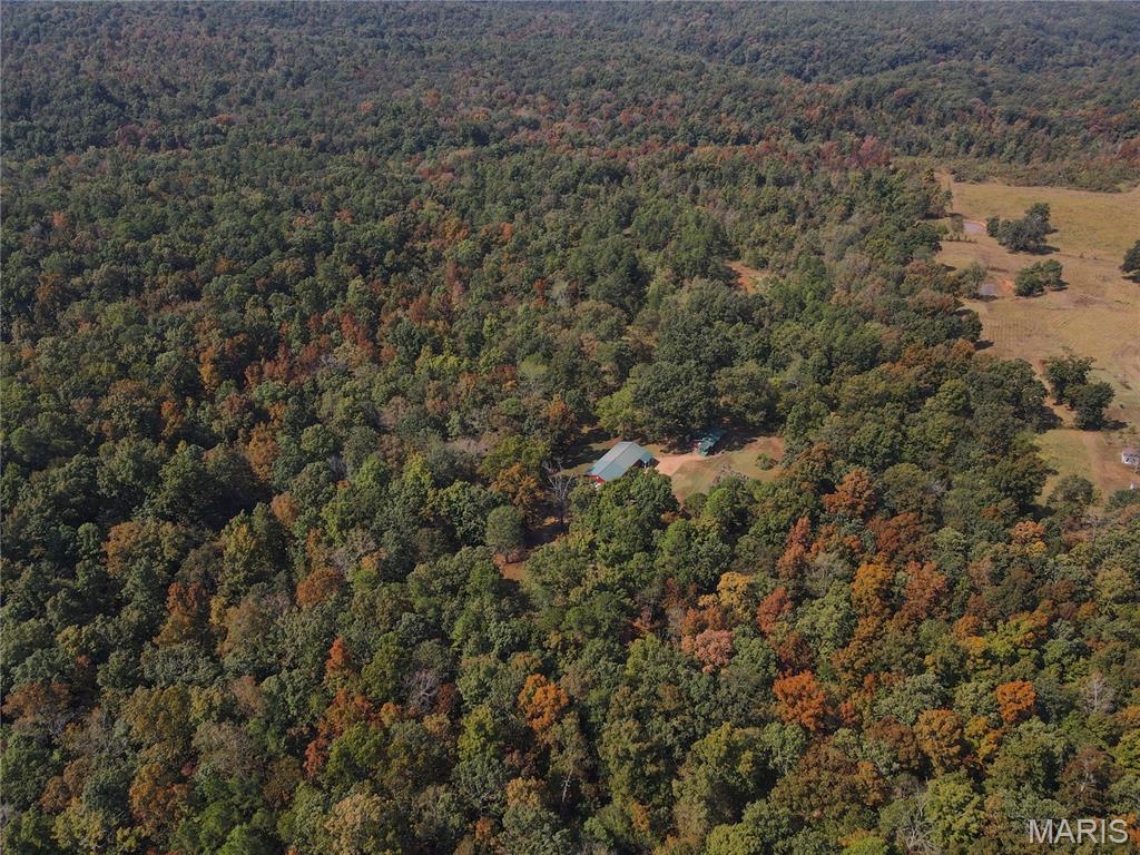 1981 Ripley Route Doniphan, MO 63935 - Photo 53 of 58