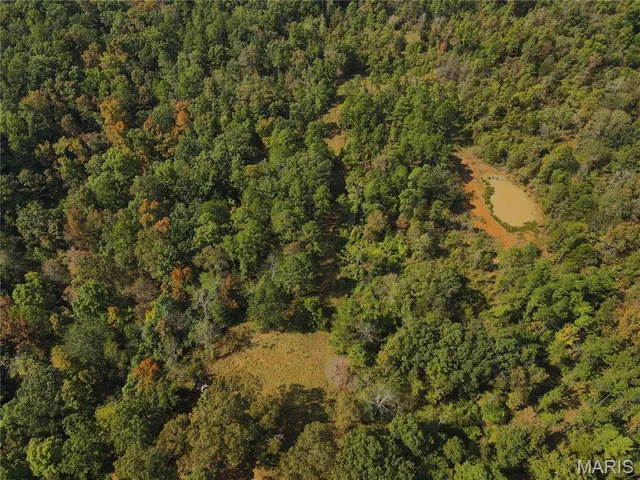 $337,500 | 1981 Ripley Route, Doniphan, MO 63935