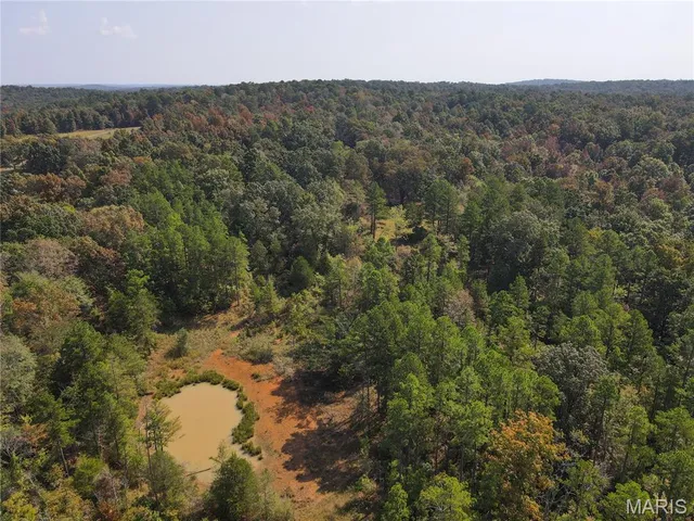 $337,500 | 1981 Ripley Route, Doniphan, MO 63935