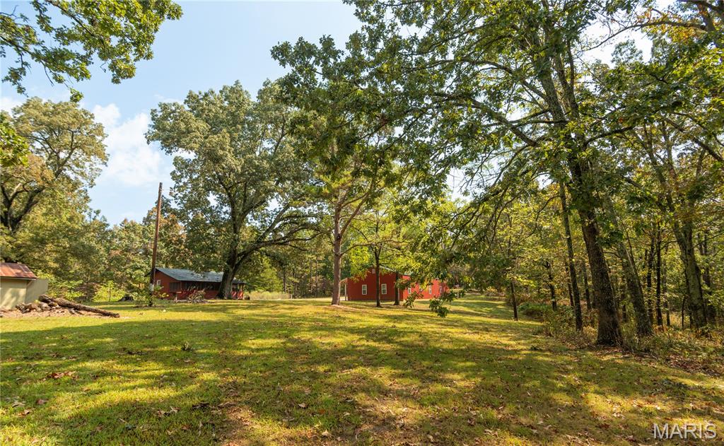 1981 Ripley Route Doniphan, MO 63935 - Photo 7 of 58