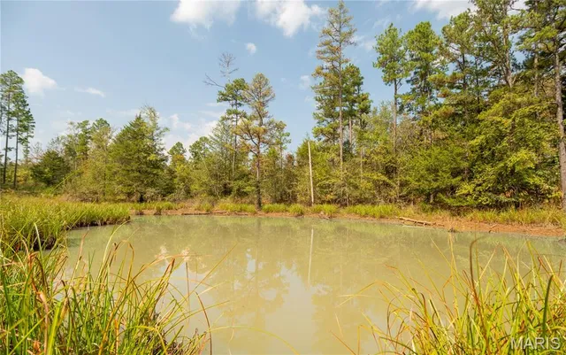 $337,500 | 1981 Ripley Route, Doniphan, MO 63935