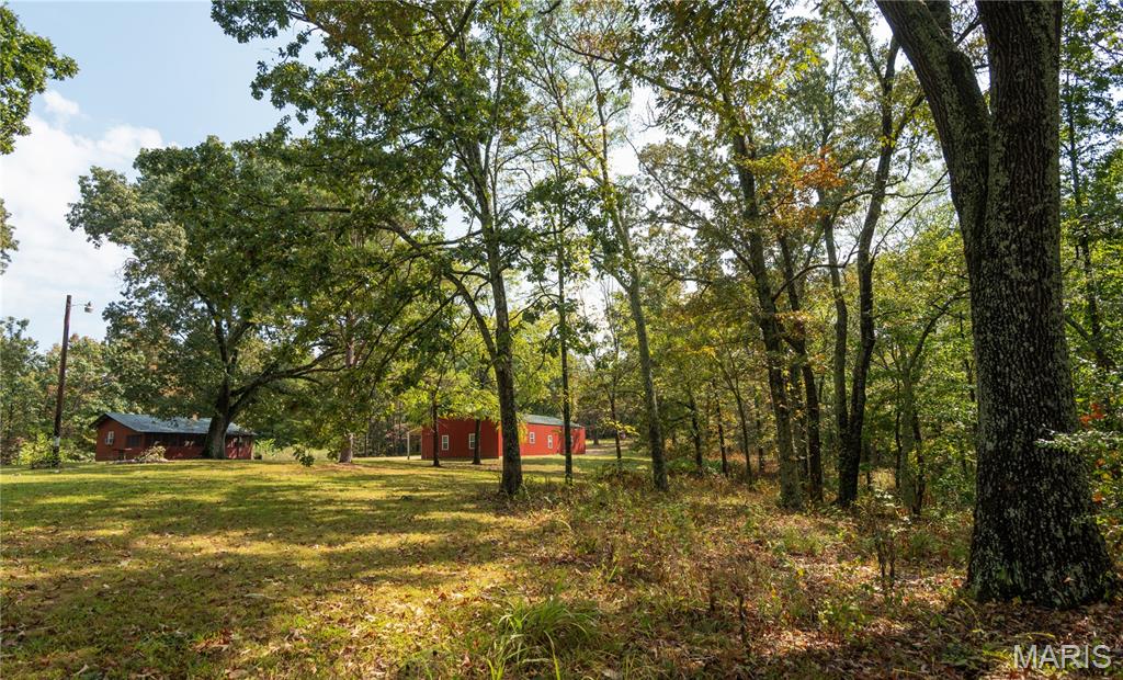 1981 Ripley Route Doniphan, MO 63935 - Photo 10 of 58