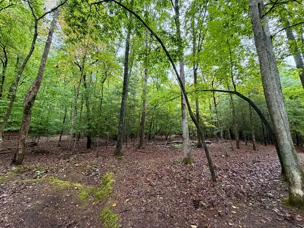 $89,999 | Lot 5 Ludlum Lane, Hayesville, NC 28904