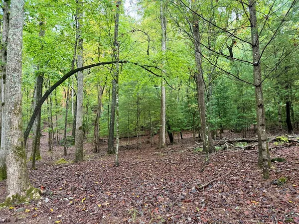 $89,999 | Lot 5 Ludlum Lane, Hayesville, NC 28904