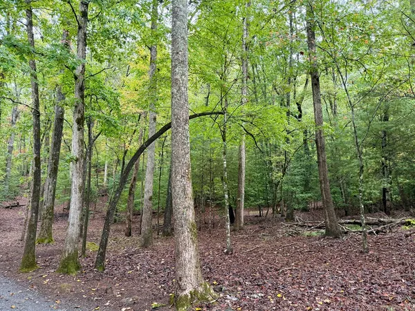 $89,999 | Lot 5 Ludlum Lane, Hayesville, NC 28904