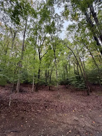 $89,999 | Lot 5 Ludlum Lane, Hayesville, NC 28904