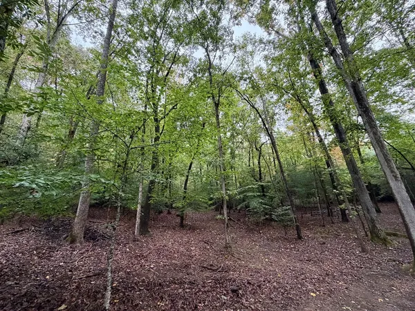 $89,999 | Lot 5 Ludlum Lane, Hayesville, NC 28904