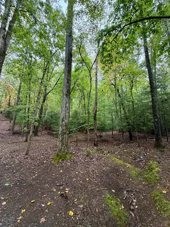 $89,999 | Lot 5 Ludlum Lane, Hayesville, NC 28904