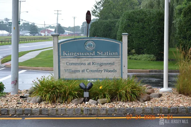 a view of a park with couches in the patio