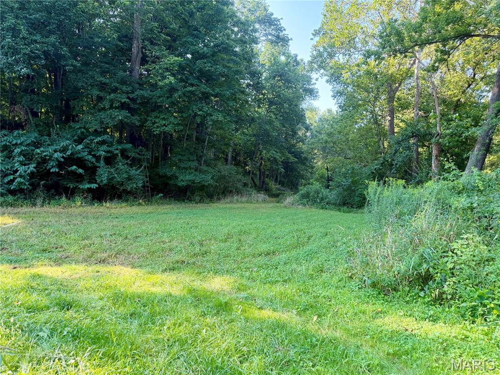0 County Road Strasburg, IL 62465 - Photo 81 of 97 Gallery Image 81