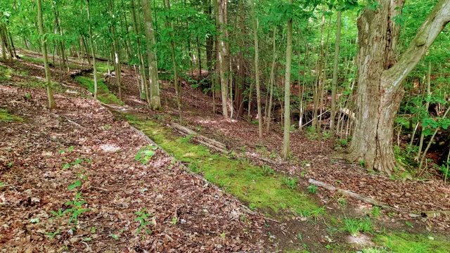 $340,000 | 8.5-acres 3rd Street, Onekama, MI 49675