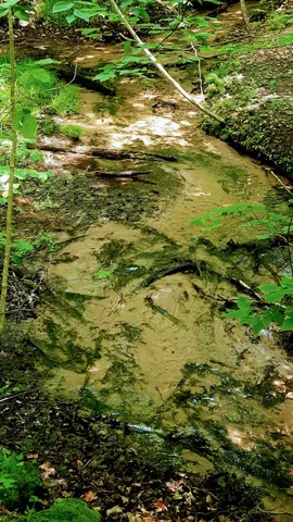 $340,000 | 8.5-acres 3rd Street, Onekama, MI 49675