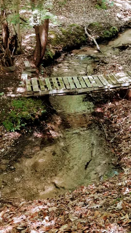 $340,000 | 8.5-acres 3rd Street, Onekama, MI 49675