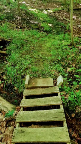 $340,000 | 8.5-acres 3rd Street, Onekama, MI 49675