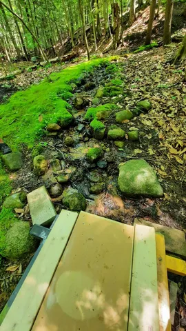 $340,000 | 8.5-acres 3rd Street, Onekama, MI 49675