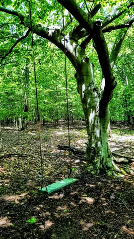 $340,000 | 8.5-acres 3rd Street, Onekama, MI 49675