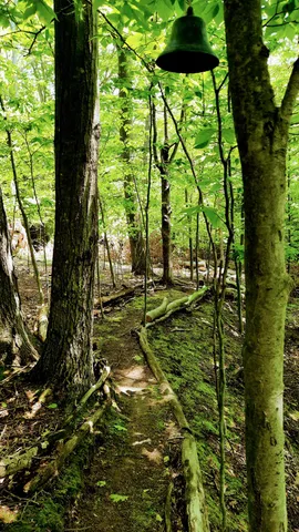 $340,000 | 8.5-acres 3rd Street, Onekama, MI 49675