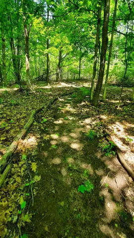 $340,000 | 8.5-acres 3rd Street, Onekama, MI 49675