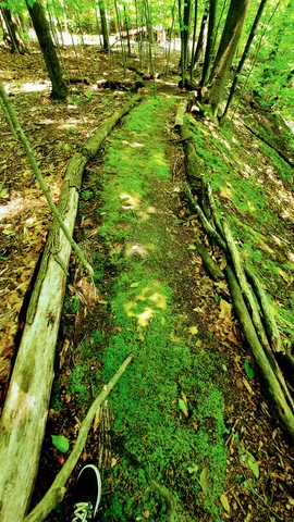 $340,000 | 8.5-acres 3rd Street, Onekama, MI 49675