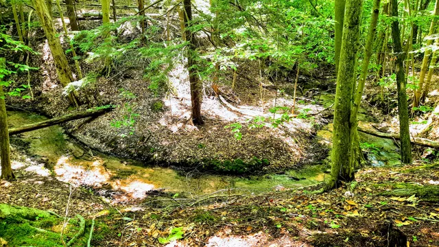 $340,000 | 8.5-acres 3rd Street, Onekama, MI 49675