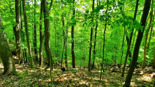 $340,000 | 8.5-acres 3rd Street, Onekama, MI 49675