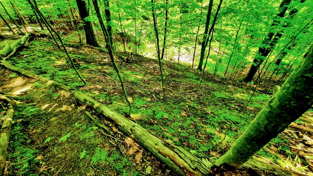 $340,000 | 8.5-acres 3rd Street, Onekama, MI 49675