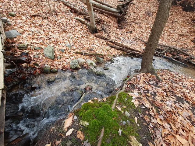 $340,000 | 8.5-acres 3rd Street, Onekama, MI 49675