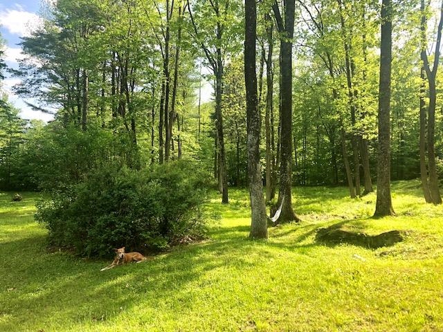 1350 Green River Road Guilford, VT 05301 - Photo 27 of 35