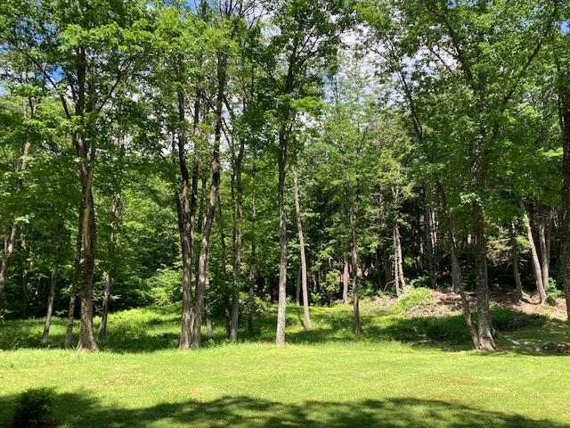 1350 Green River Road Guilford, VT 05301 - Photo 6 of 35