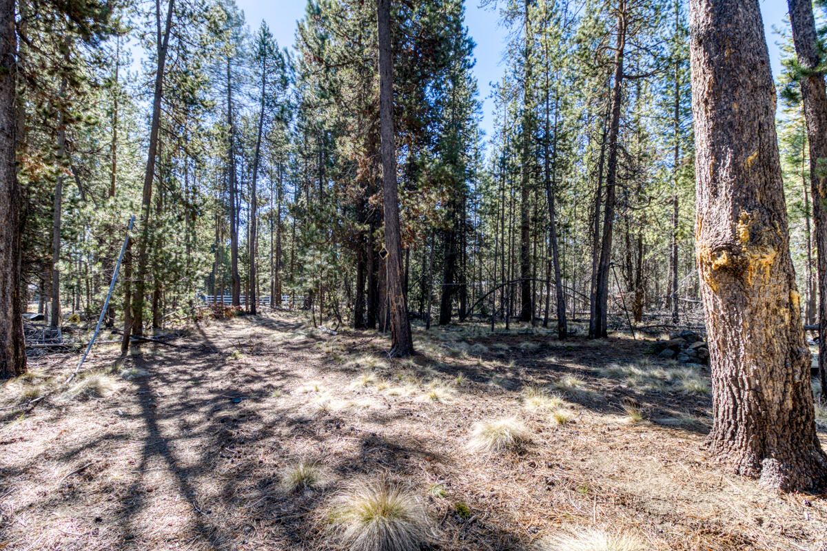 16948 Rosemead Road Bend, OR 97707 - Photo 9 of 33 CREP1325