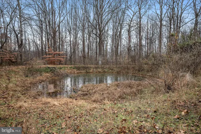 a view of a house with a tub and trees in the background