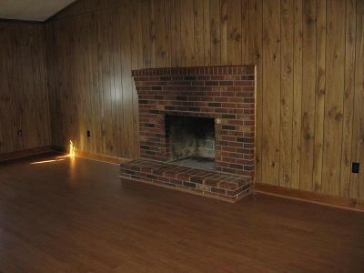1377 Bore Auger Road Blue Ridge, VA 24064 - Photo 5 of 6 a living room with a fireplace