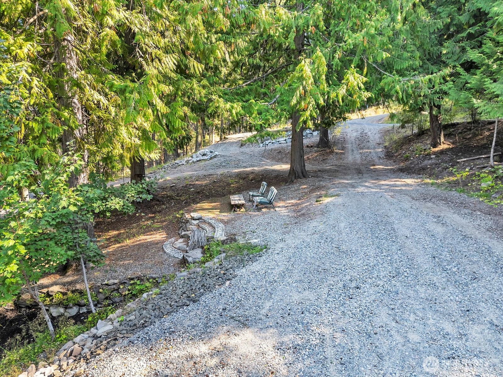 21 Grange Springs Road Cle Elum, WA 98922 - Photo 12 of 31 a view of a tree in the middle of a forest