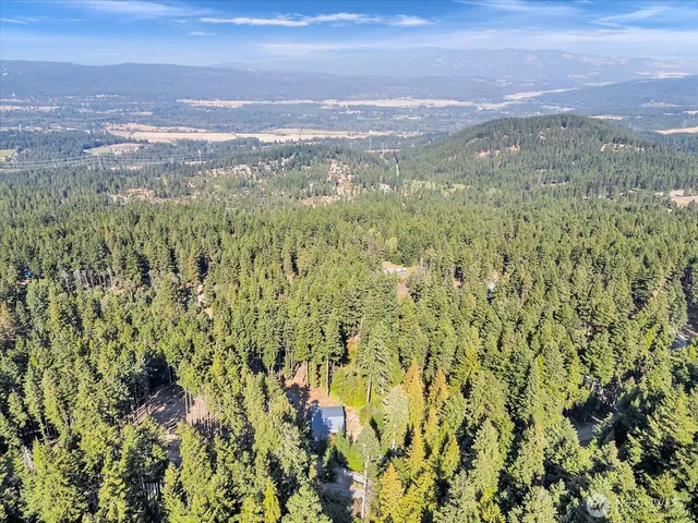 a view of city and green space