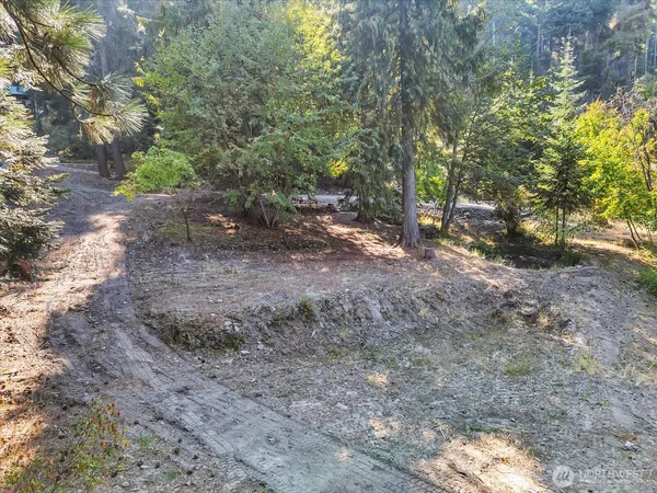 a view of a yard with trees