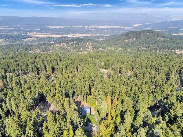 a view of city and green space