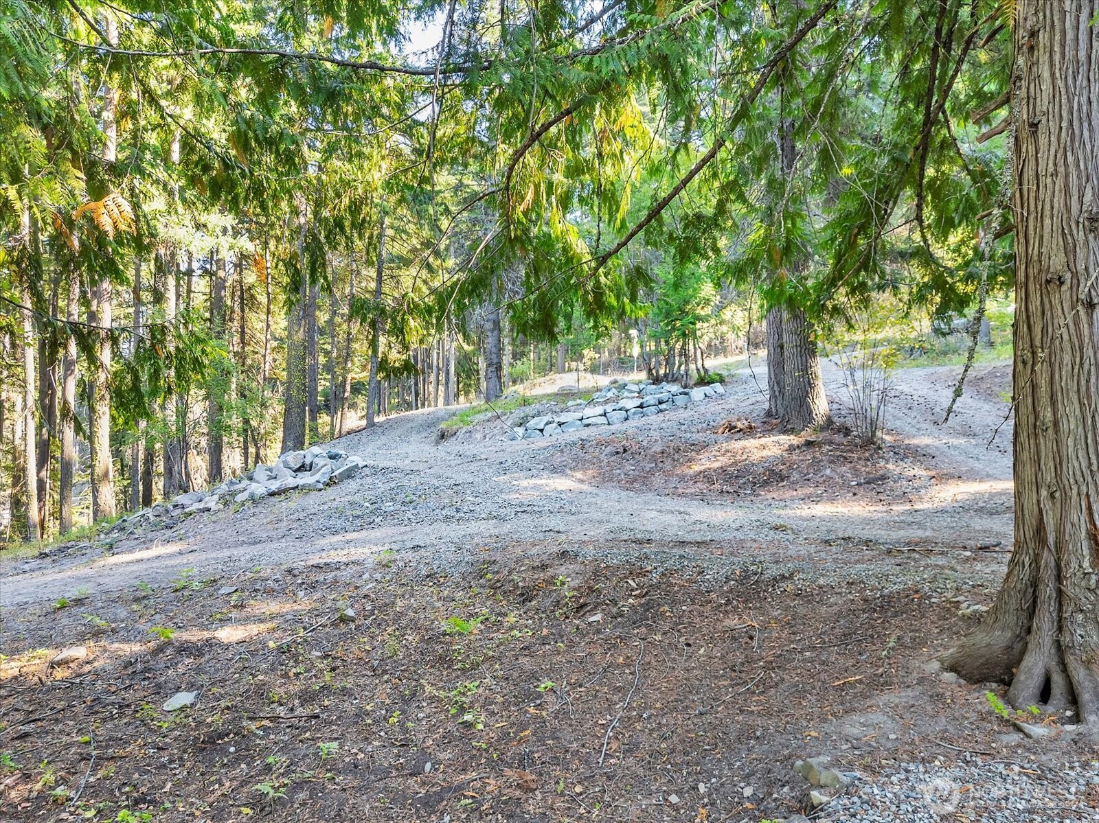 21 Grange Springs Road Cle Elum, WA 98922 - Photo 23 of 31 a view of a yard with large trees