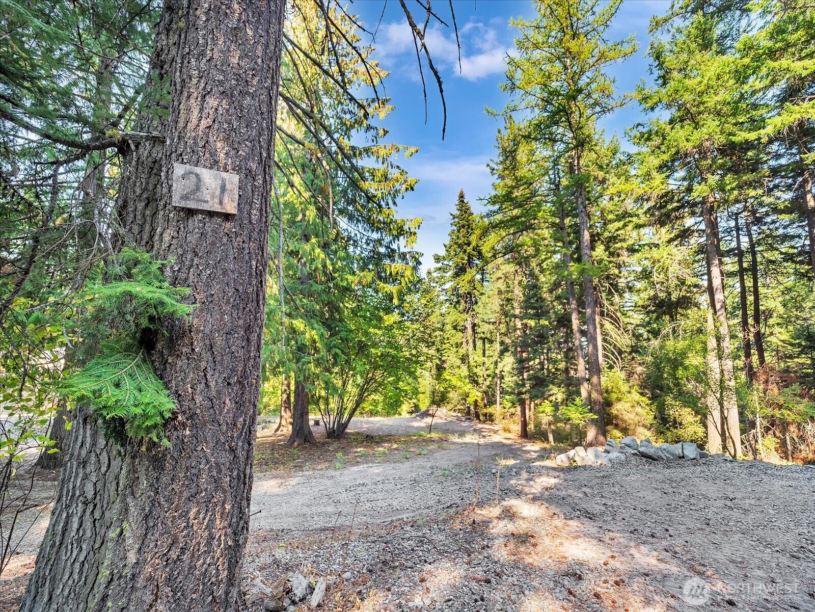 21 Grange Springs Road Cle Elum, WA 98922 - Photo 3 of 31 a view of a yard with plants and trees