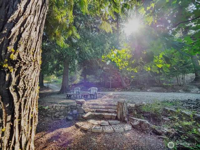 a view of a yard with plants and trees