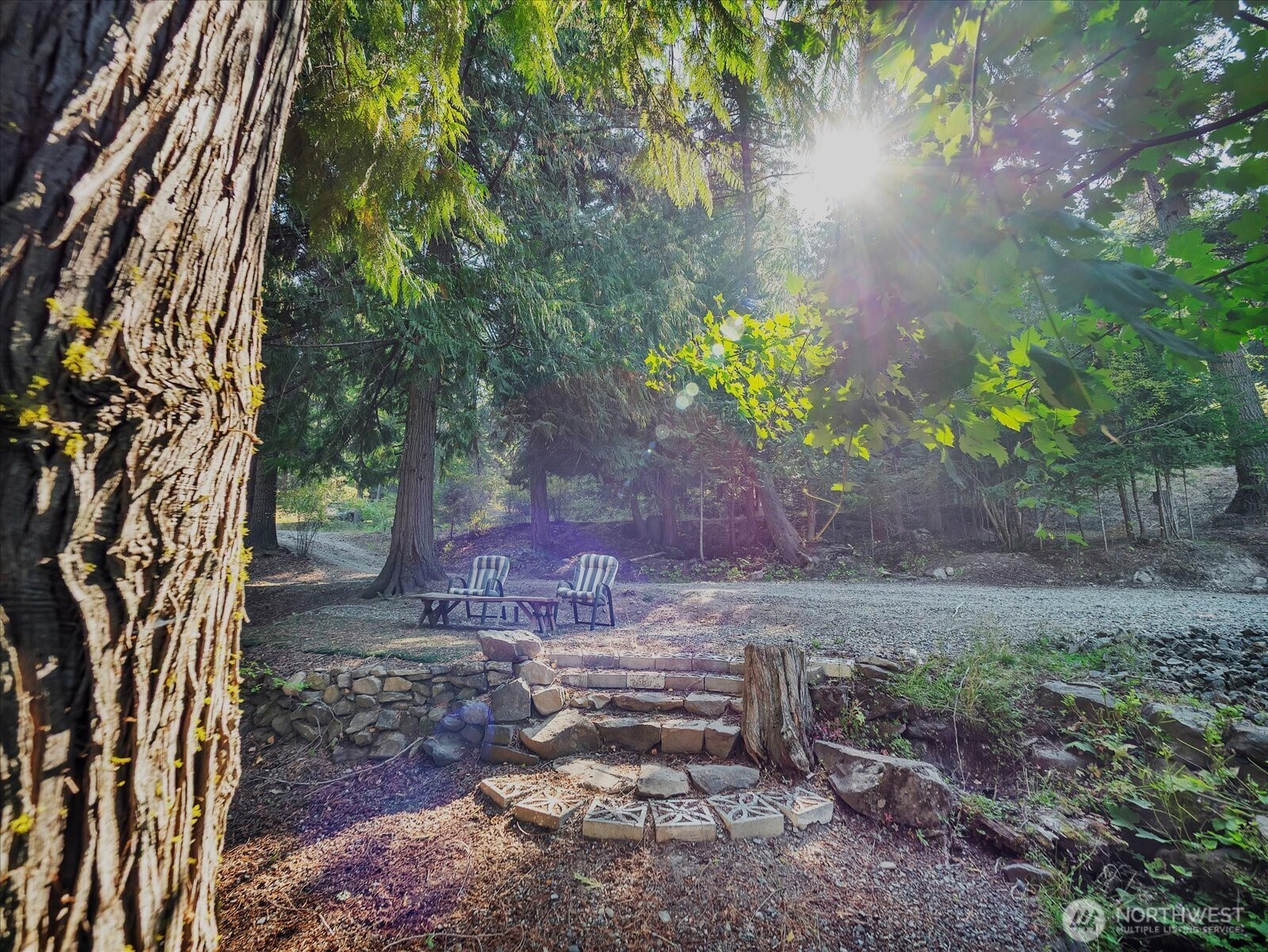 21 Grange Springs Road Cle Elum, WA 98922 - Photo 31 of 31 a view of a yard with plants and trees