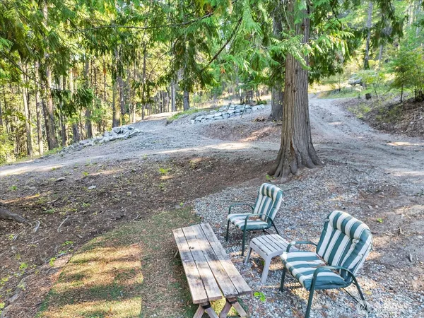 a view of a yard with furniture and a tree