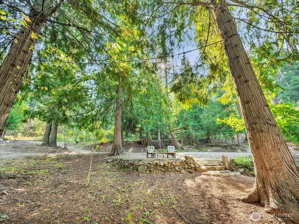 a view of a tree in the middle of a yard